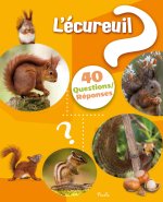 L'écureuil roux