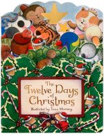 12 DAYS OF CHRISTMAS