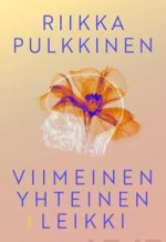 Viimeinen yhteinen leikki
