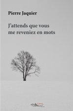 J'attends que vous me reveniez en mots