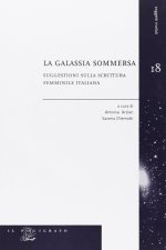 galassia sommersa. Suggestioni sulla scrittura femminile italiana