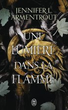 FLESH AND FIRE T2