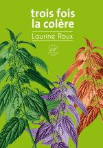 Trois fois la colère (titre provisoire)