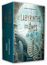 Coffret Labyrinthe des âmes