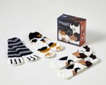 Coffret Les goûters de la famille Chat chaussettes, 3e éd.