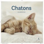 Calendrier Chatons 2026