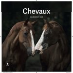 Calendrier Chevaux 2026