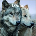 Calendrier Loups 2026