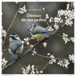 Calendrier Oiseaux de nos jardins 2026