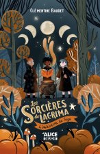 Les sorcières de Lacrima - L'initiation de Saga - Volume 02