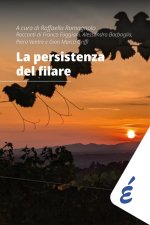 persistenza del filare
