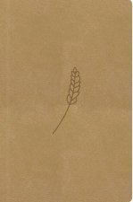 Bible, překlad 21. století (medová) - kapesní