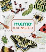Memo degli insetti