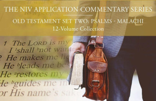 NIV APPLICATION COMMENTARY OLD TESTAMEN