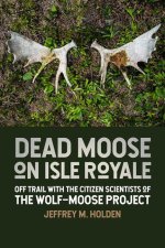 Dead Moose on Isle Royale