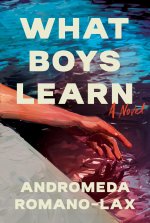 What Boys Learn