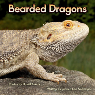Bearded Dragons