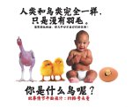 人类和鸟类完全一样，只是没有羽毛。