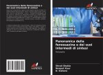 Panoramica della fenossazina e dei suoi intermedi di sintesi