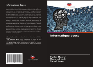 Informatique douce