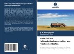 Potenzial und Haltbarkeitseigenschaften von Mischzementbeton