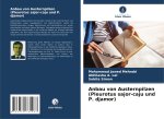 Anbau von Austernpilzen (Pleurotus sajor-caju und P. djamor)