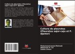 Culture de pleurotes (Pleurotus sajor-caju et P. djamor)