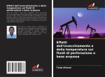 Effetti dell'invecchiamento e della temperatura sui fluidi di perforazione a base acquosa