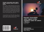 Energia rinnovabile nelle regioni aride: collettori solari di calore a Biskra
