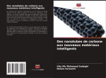 Des nanotubes de carbone aux nouveaux matériaux intelligents