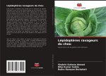 Lépidopt?res ravageurs du chou