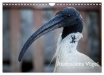 Australiens Vögel (Wandkalender 2026 DIN A4 quer), CALVENDO Monatskalender
