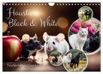 Haustiere - Black and White (Wandkalender 2026 DIN A4 quer), CALVENDO Monatskalender