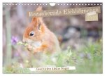 Bezaubernde Eichhörnchen (Wandkalender 2026 DIN A4 quer), CALVENDO Monatskalender