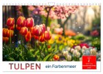 Tulpen - ein Farbenmeer (Wandkalender 2026 DIN A4 quer), CALVENDO Monatskalender