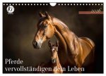 Pferde vervollständigen dein Leben (Wandkalender 2026 DIN A4 quer), CALVENDO Monatskalender
