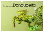 Rund um das Donaudelta (Wandkalender 2026 DIN A4 quer), CALVENDO Monatskalender