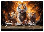 Jahr des Tigers - Porträts des chinesischen Tierkreiszeichens (Wandkalender 2026 DIN A4 quer), CALVENDO Monatskalender