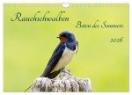 Rauchschwalben - Boten des Sommers (Wandkalender 2026 DIN A4 quer), CALVENDO Monatskalender