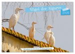 Vögel der Algarve (Tischkalender 2026 DIN A5 quer), CALVENDO Monatskalender