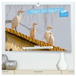 Vögel der Algarve (hochwertiger Premium Wandkalender 2026 DIN A2 quer), Kunstdruck in Hochglanz