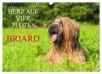 Herz auf vier Pfoten - Briard (Wandkalender 2026 DIN A3 quer), CALVENDO Monatskalender