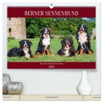 Berner Sennenhund - Der beste Freund fürs Leben (hochwertiger Premium Wandkalender 2026 DIN A2 quer), Kunstdruck in Hochglanz