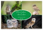 Das Leben der Eulen, die Damen der Nacht (Wandkalender 2026 DIN A2 quer), CALVENDO Monatskalender