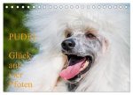 Pudel - Glück auf vier Pfoten (Tischkalender 2026 DIN A5 quer), CALVENDO Monatskalender