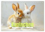 Kaninchen - Liebenswerte Fellbällchen (Tischkalender 2026 DIN A5 quer), CALVENDO Monatskalender