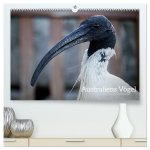 Australiens Vögel (hochwertiger Premium Wandkalender 2026 DIN A2 quer), Kunstdruck in Hochglanz