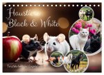 Haustiere - Black and White (Tischkalender 2026 DIN A5 quer), CALVENDO Monatskalender