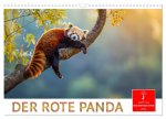 Der Rote Panda (Wandkalender 2026 DIN A3 quer), CALVENDO Monatskalender