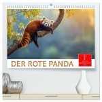 Der Rote Panda (hochwertiger Premium Wandkalender 2026 DIN A2 quer), Kunstdruck in Hochglanz